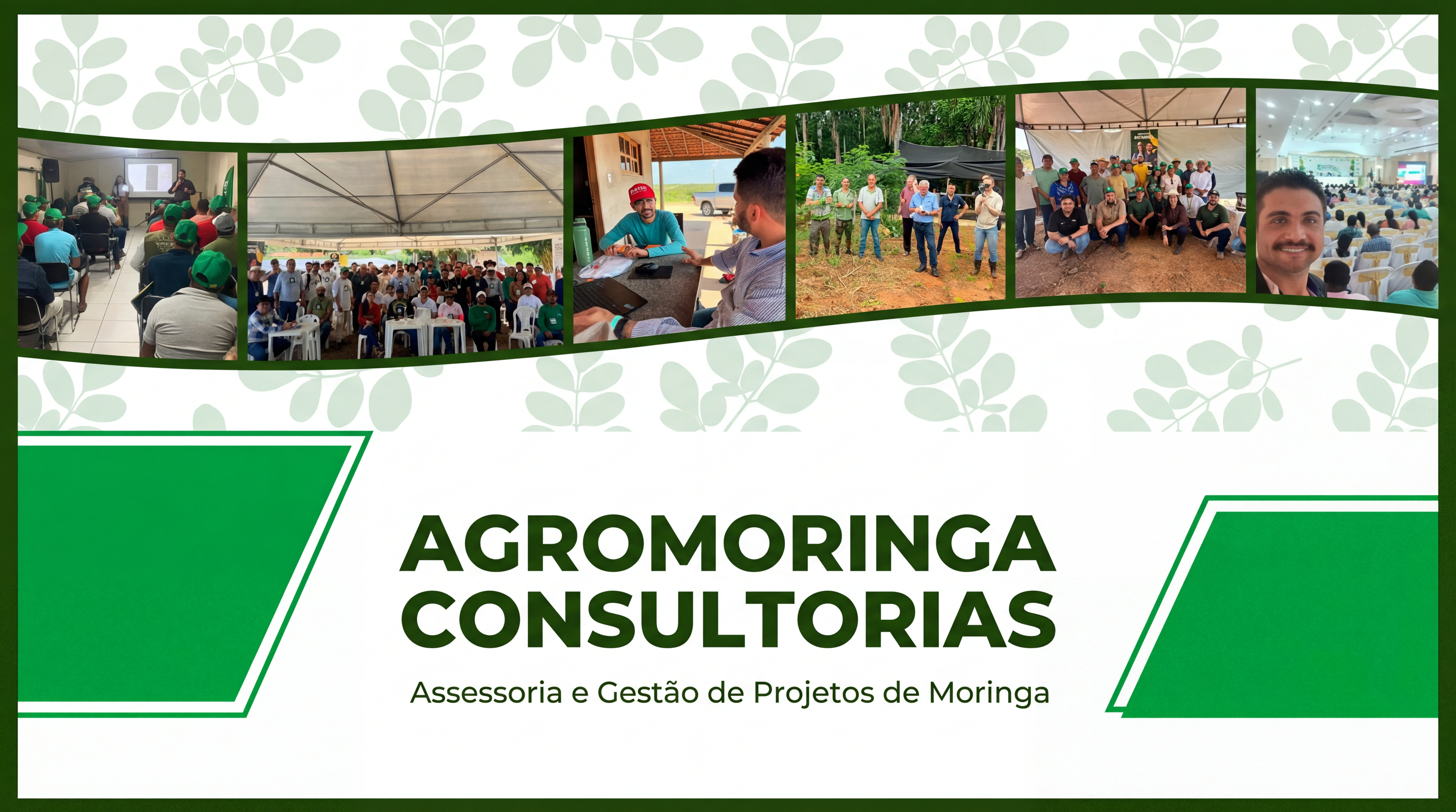 Cursos e Capacitação